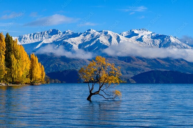 Queenstown Wanaka Day Tour New Zealand