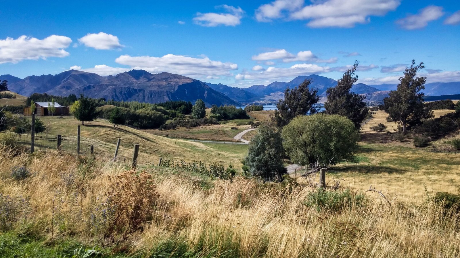 One Day New Zealand Adventure