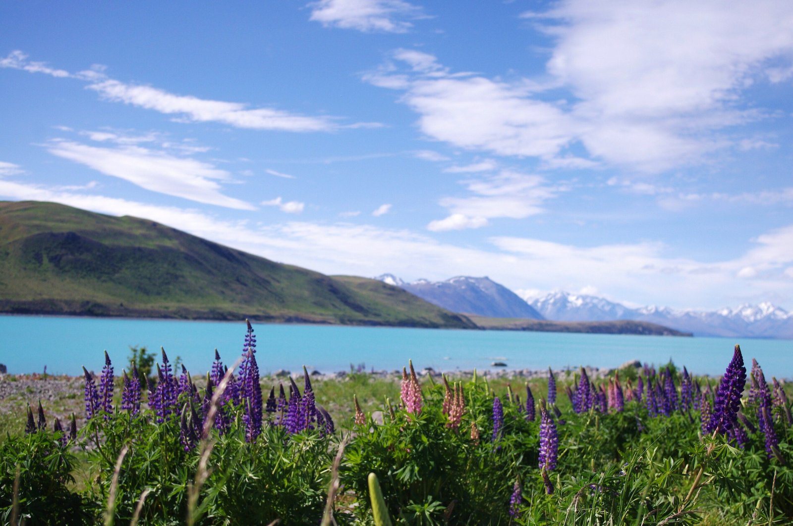 Lake Tekapo New Zealand