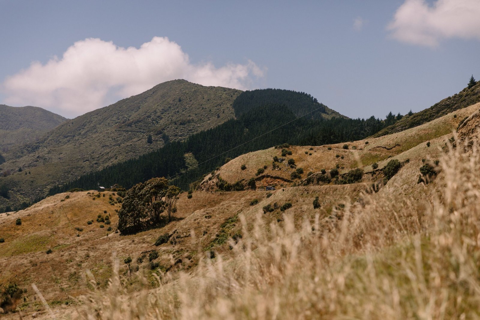 Marlborough New Zealand