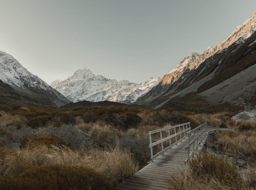 pexels karikittlaus 18789388
